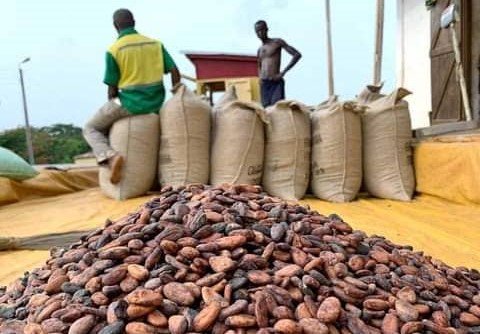Côte d'Ivoire produces top quality cocoa bean.