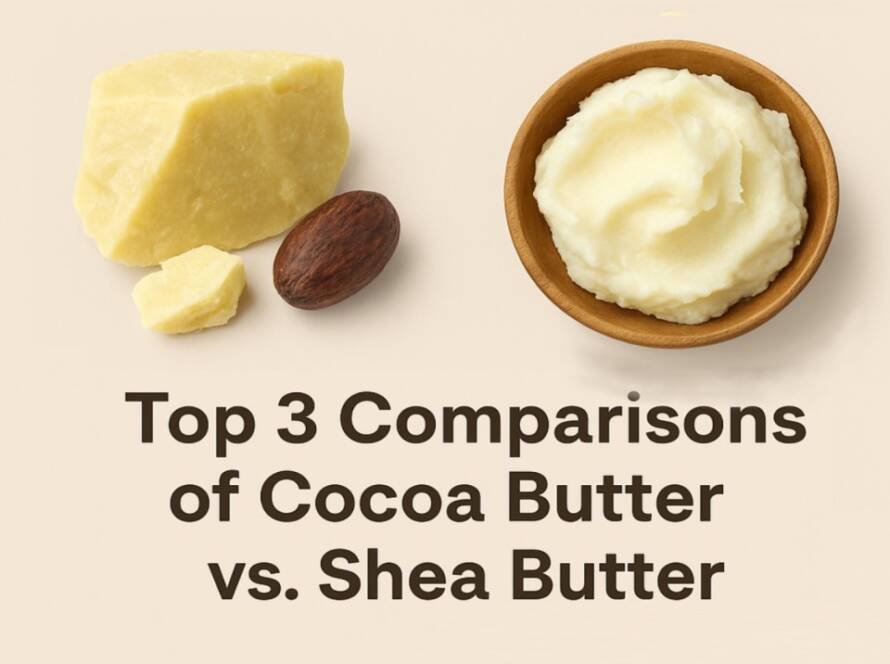 Cocoa Butter vs. Shea Butter